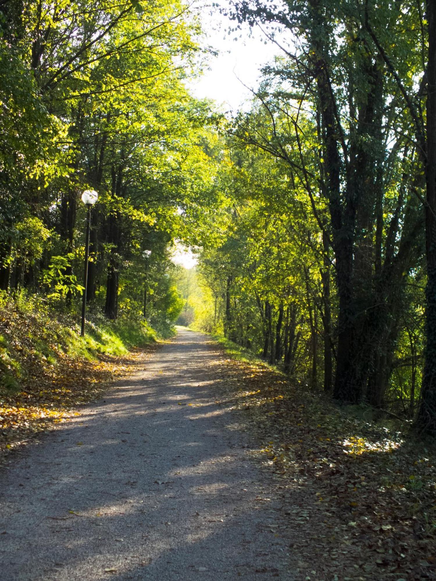 Agriturismo I 9 Filari Limena Bagian luar foto