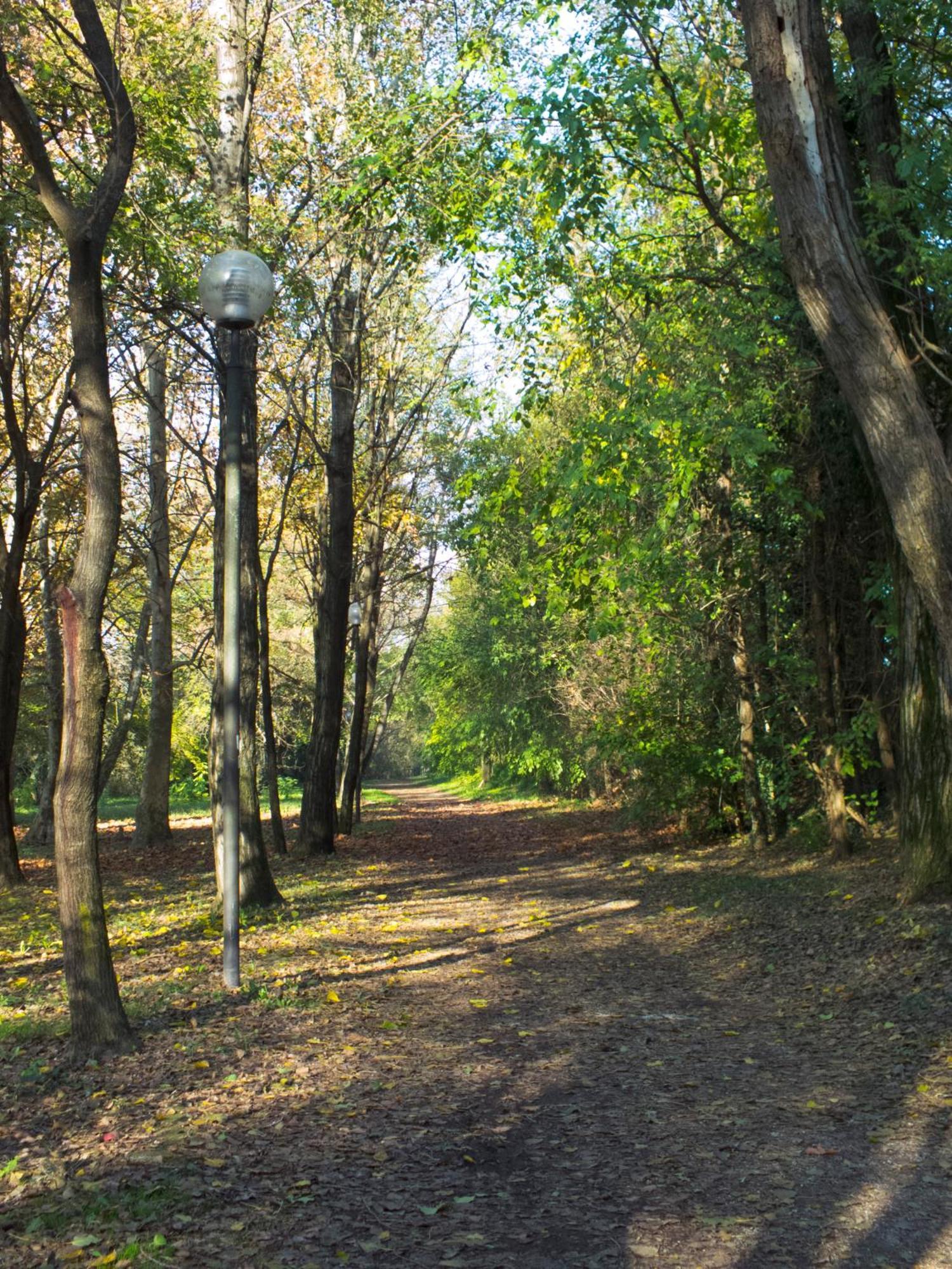 Agriturismo I 9 Filari Limena Bagian luar foto